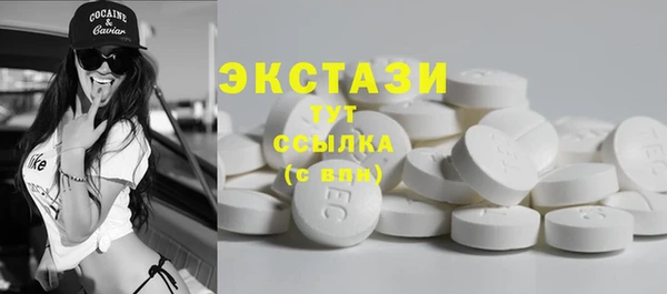 ECSTASY Богданович